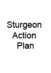 Sturgeon Action Plan