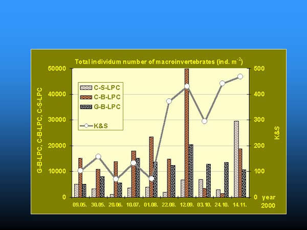 Comparison of total individuum numbers collected by kick and sweep method and artificial substrates