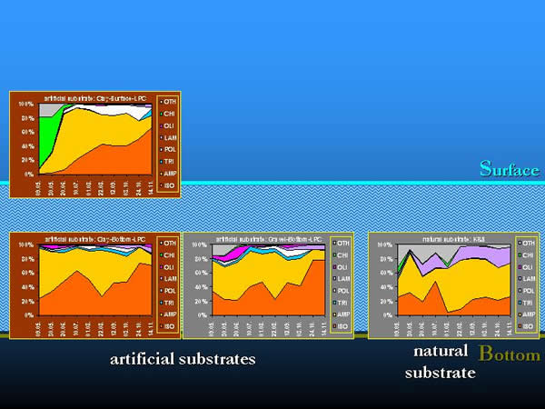 Selectivity of artificial substrates by taxonomic groups