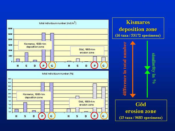 Total individuum number and percentage values according different sampling methods