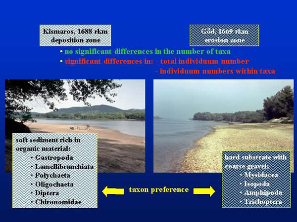 Comparison of the sampling areas by sediment characteristics, taxa and individuum number, and taxon preference