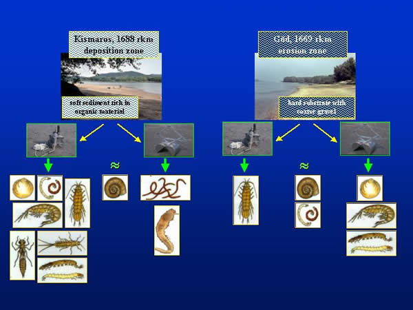 Effectiveness of grab samplers according taxonomic groups on different natural substrates