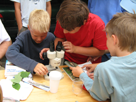 Children along the Danube investigating fauna and flora