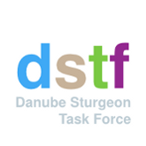 DSTF Logo